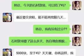 冷水江为什么选择专业追讨公司来处理您的债务纠纷？